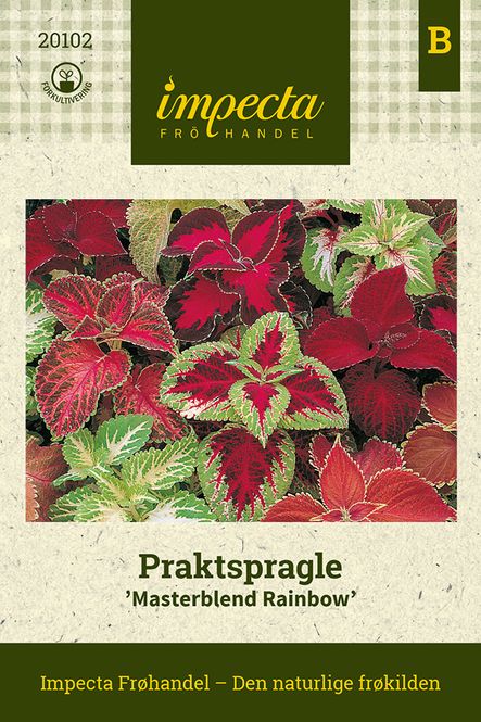 Hovedbilde Praktspragle 'Masterblend Rainbow'