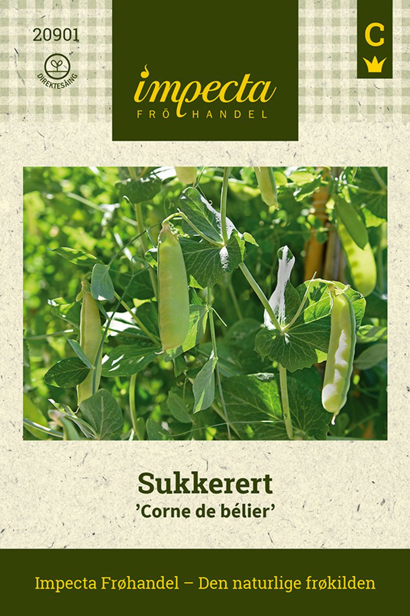 Sukkerert 'Corne de bélier'