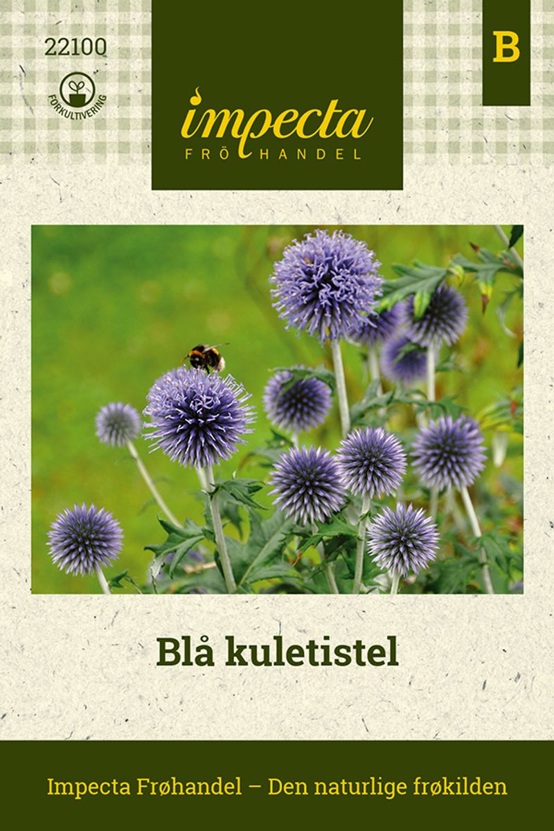 Blå kuletistel