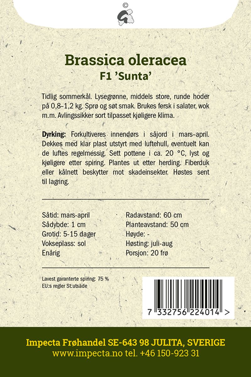 Hvitkål F1 'Sunta'