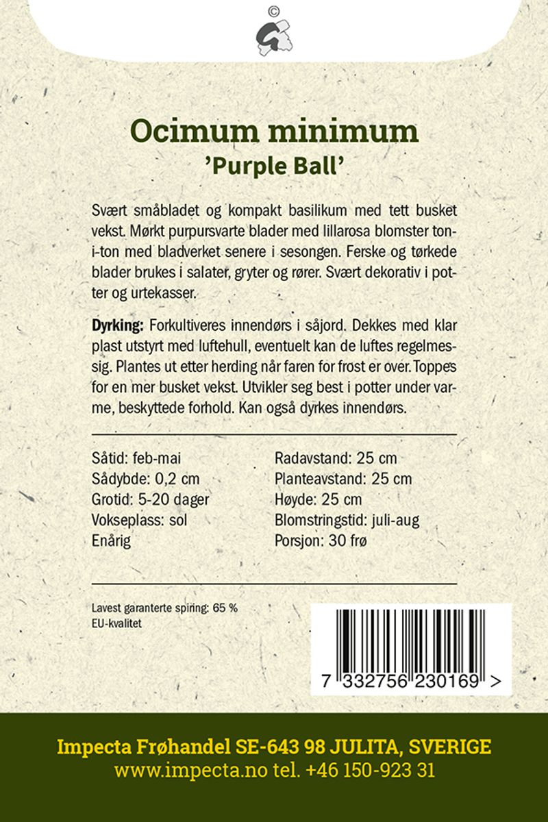 Småbladet basilikum 'Purple Ball'