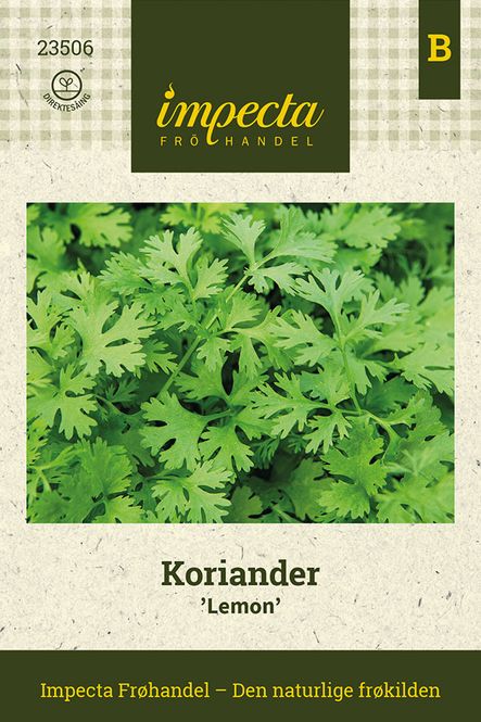 Hovedbilde Koriander 'Lemon'