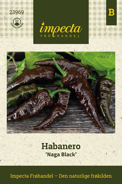 Hovedbilde Habanero 'Naga Black'