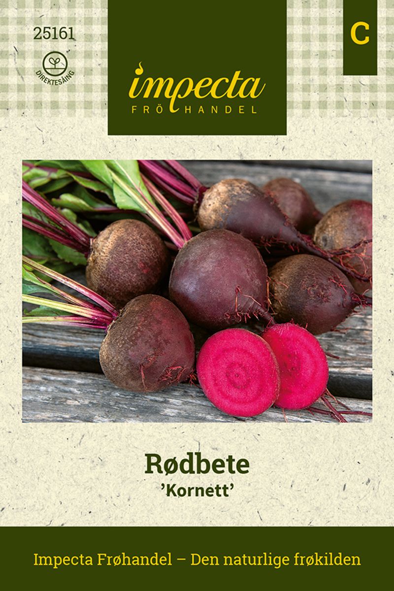 Rødbete 'Kornett'