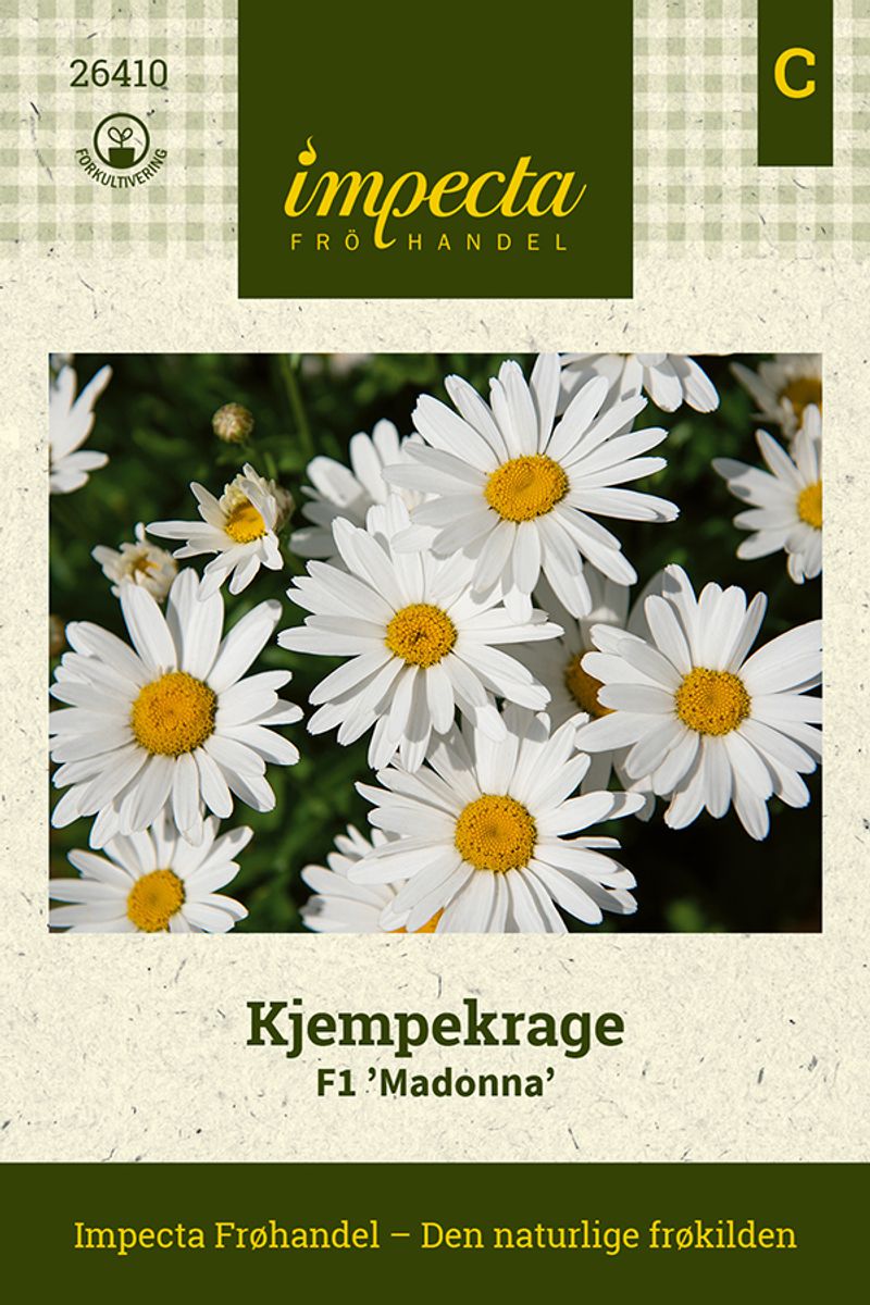 Kjempekrage F1 'Madonna'