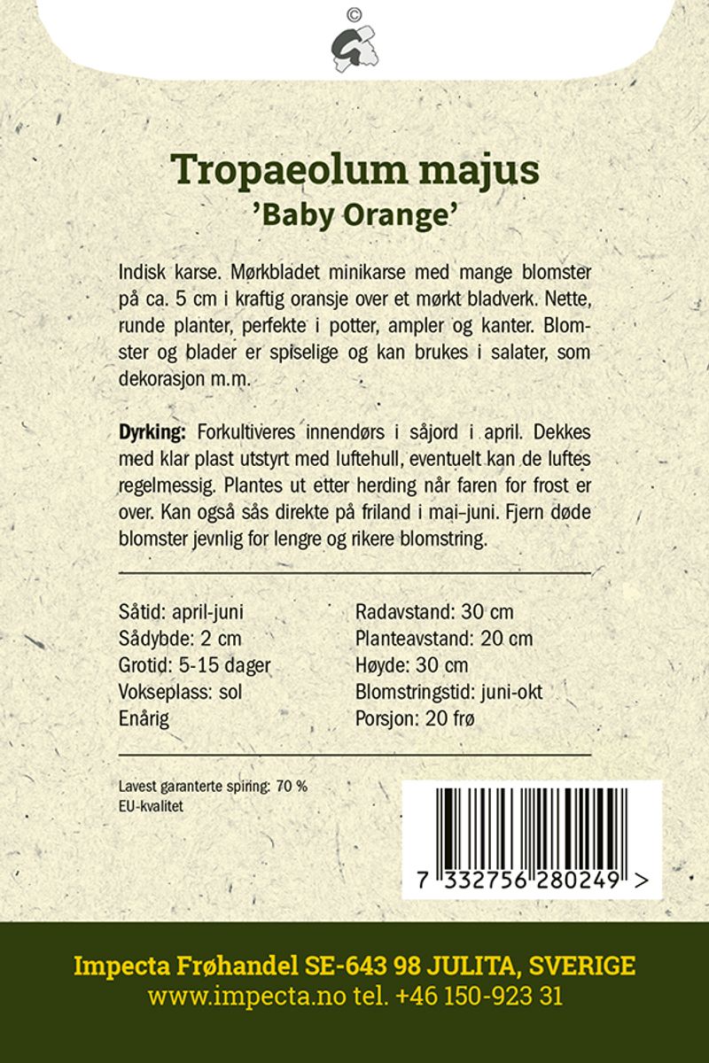 Blomkarse 'Baby Orange'