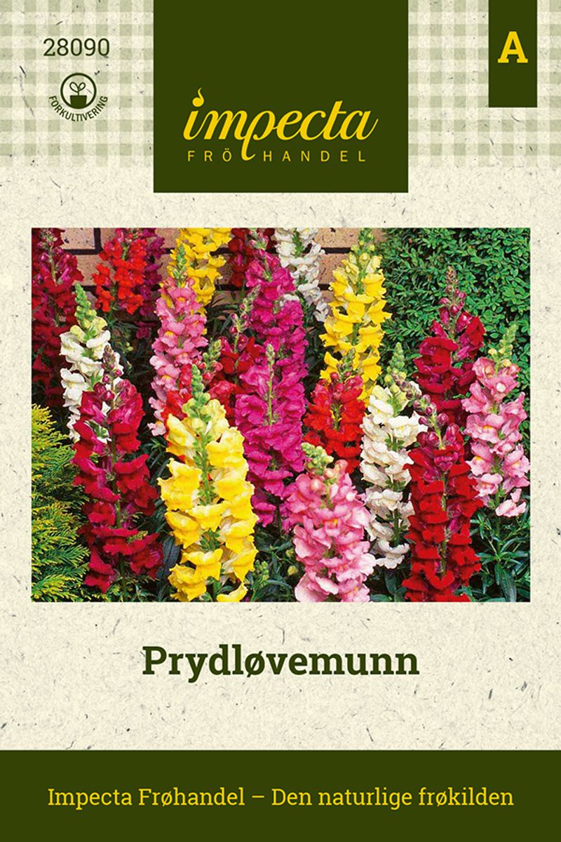 Prydløvemunn