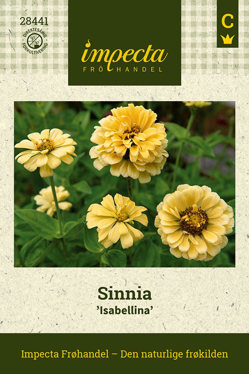 Sinnia Isabellina
