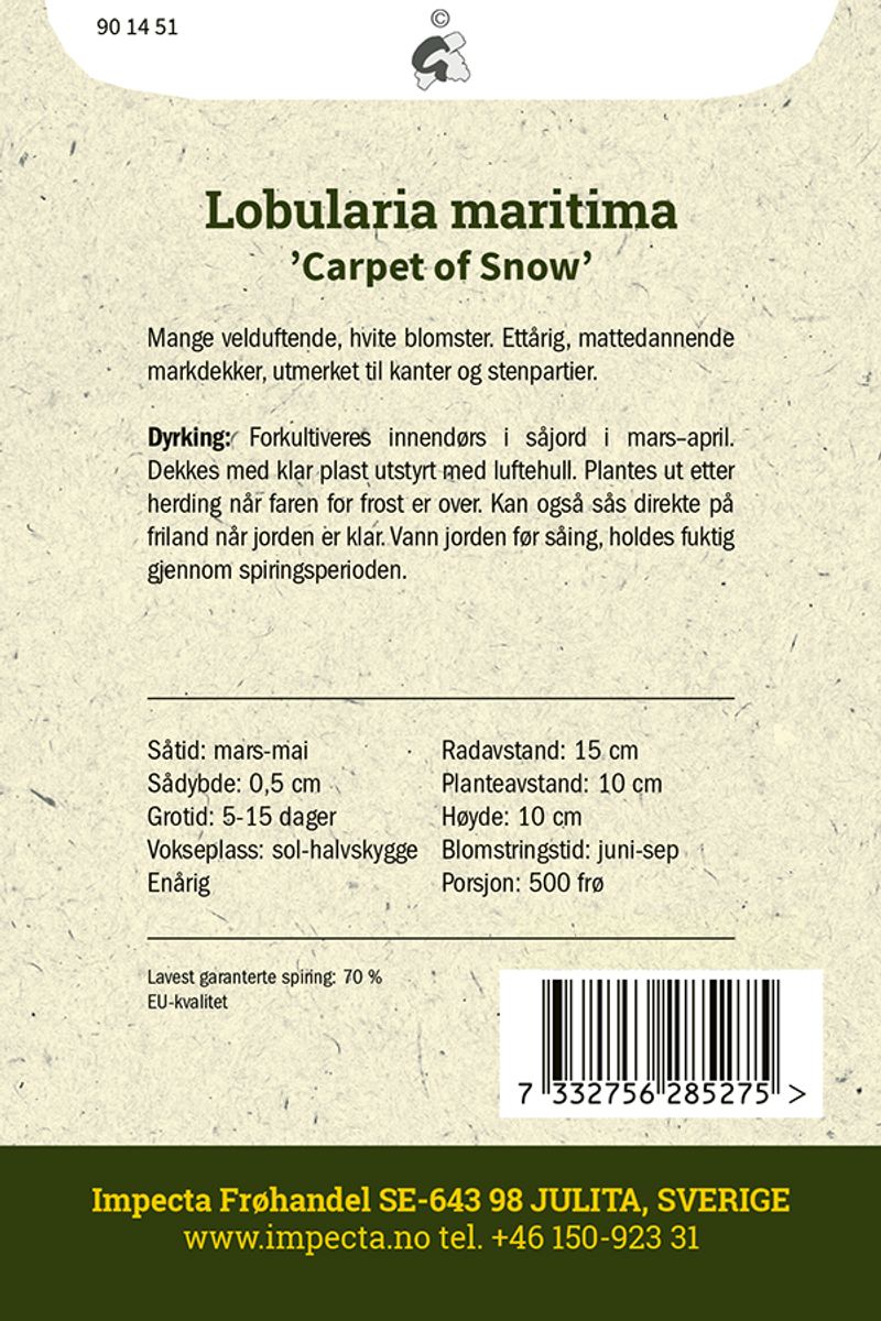 Silkedodre 'Carpet Of Snow'