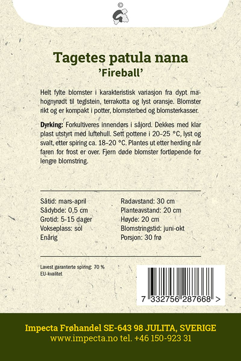Fløyelsblomst 'Fireball'