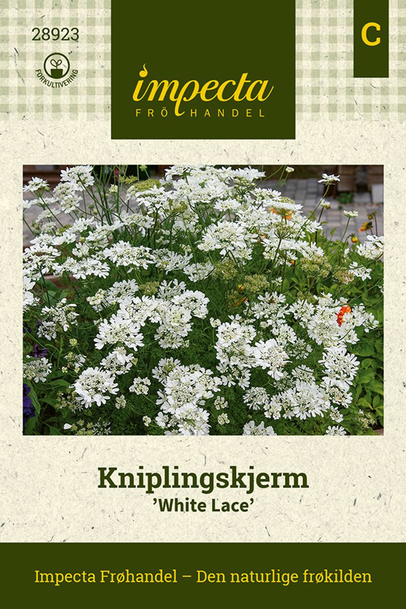 Kniplingskjerm White Lace