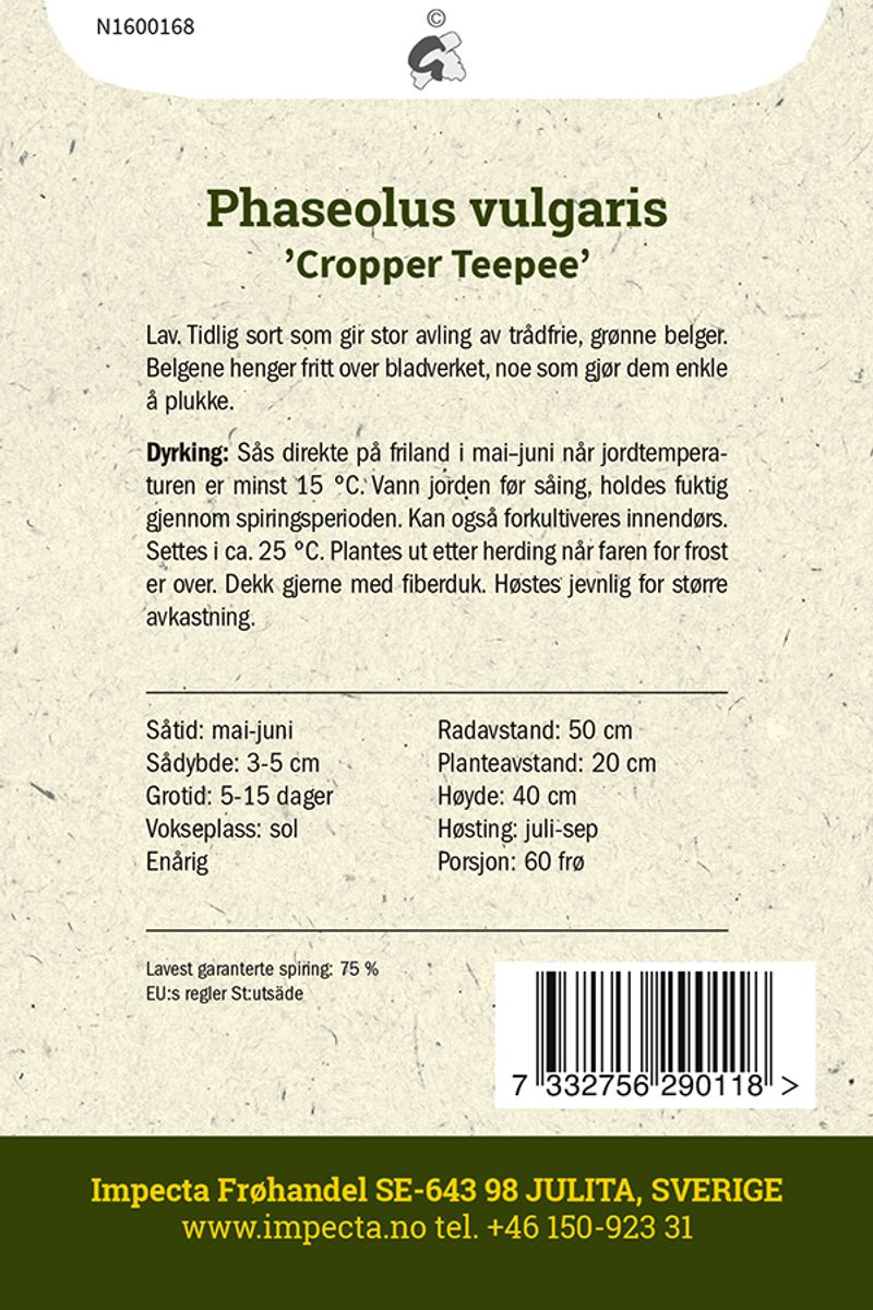 Brekkbønne 'Cropper Teepee'
