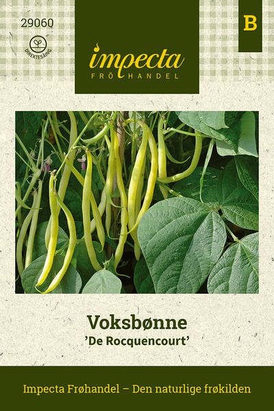 Hovedbilde Voksbønne 'De Rocquencourt'