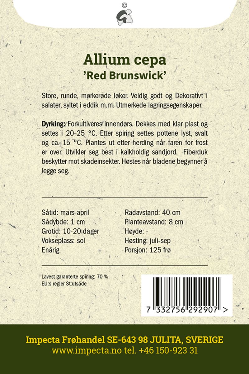 Rød Løk 'De Brunswick'