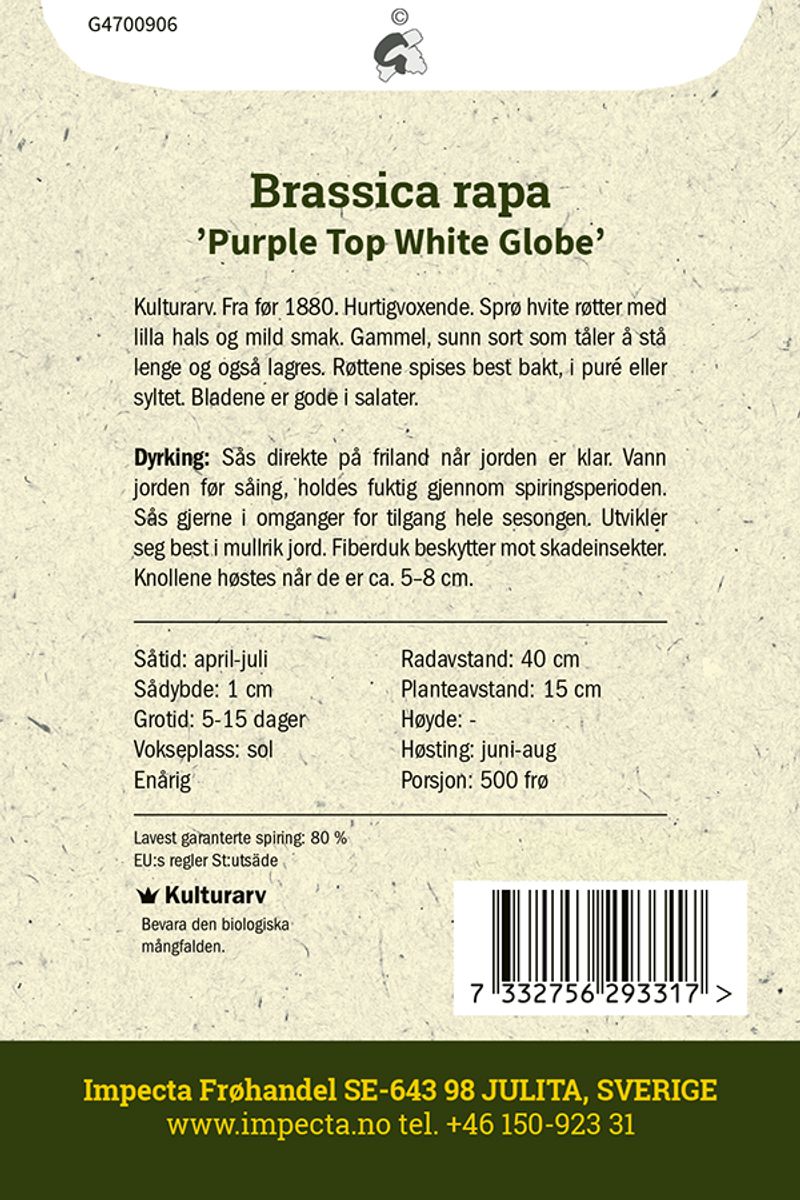 Nepe 'Purple Top White Globe'