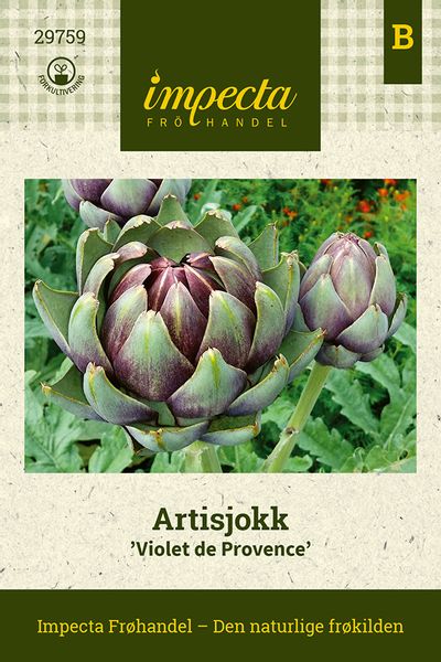 Hovedbilde Artisjokk Violet De Provence