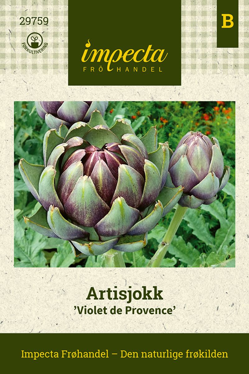 Artisjokk Violet De Provence