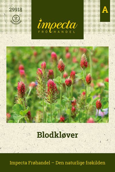 Hovedbilde Blodkløver