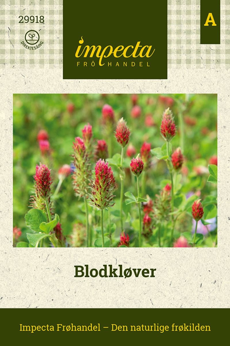 Blodkløver