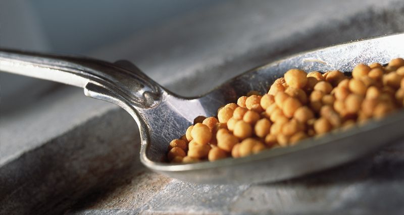 Langtidsgjødsel 250 g