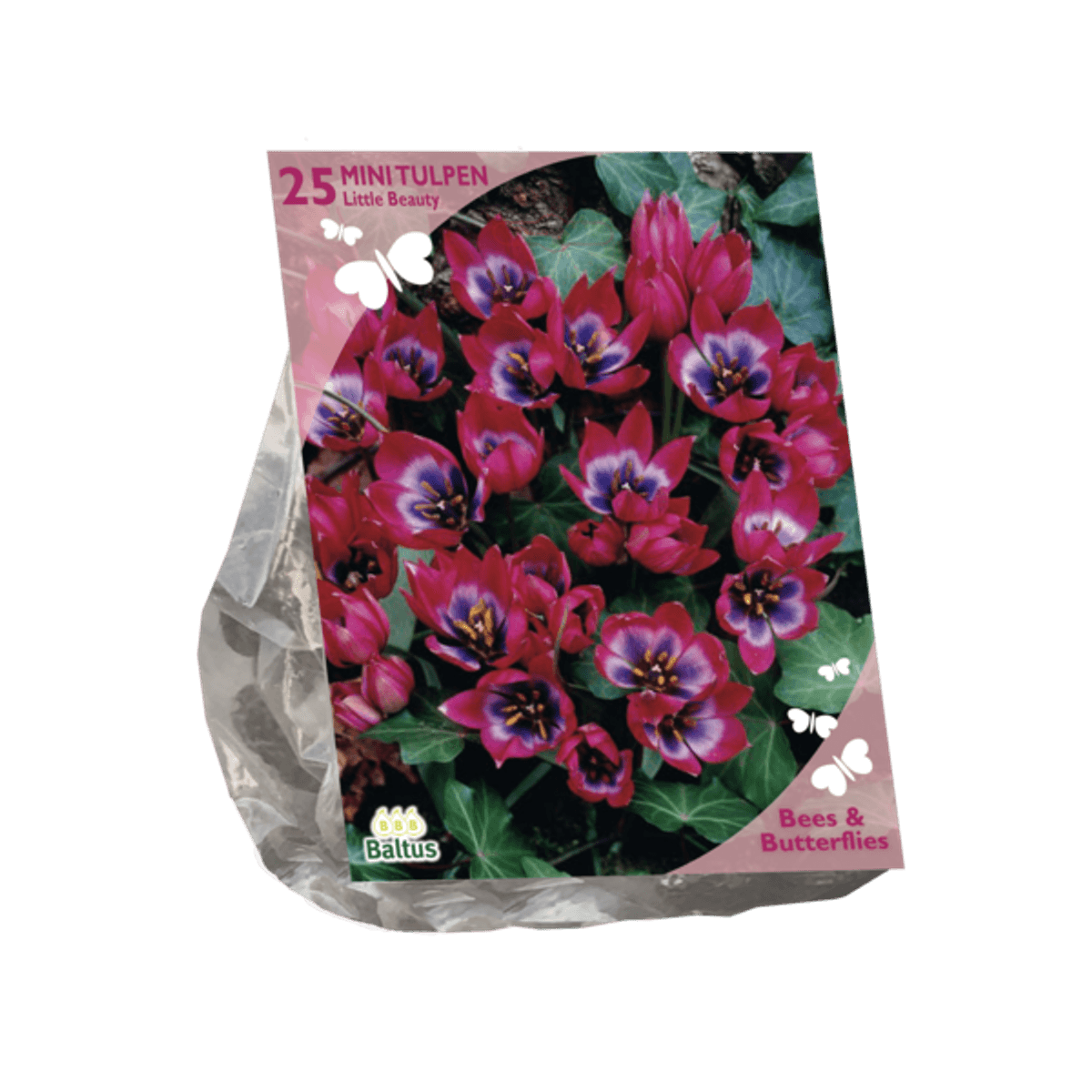 Tulipan Little Beauty bie og sommerfugl vennlig 25 stk i posen