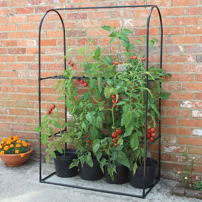 Hovedbilde Tomato Crop-Booster Frame   Ramme.