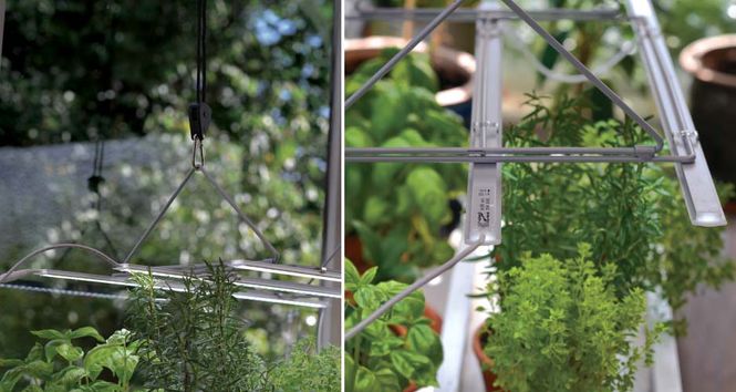 Hovedbilde Plantelys opphengsstativ justerbart