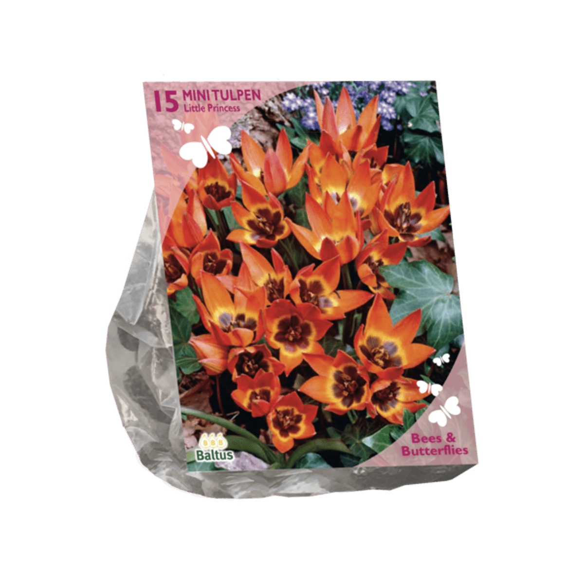 Tulipan  Lille prinsesse 15. stk bie og somefugl vennlig