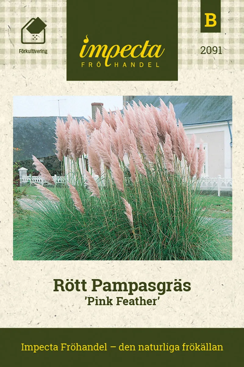 RØDT PAMPASGRESS PINK FEATHER