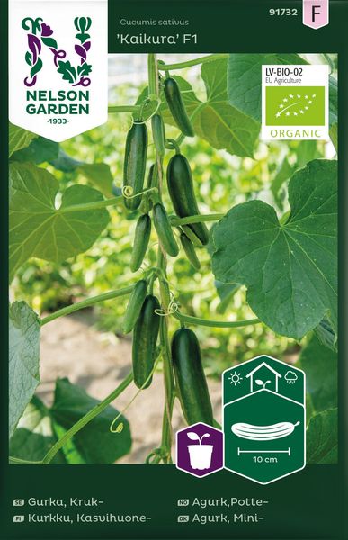 Hovedbilde Agurk,Potte-, Veksthus, Kaikura F1, Orga