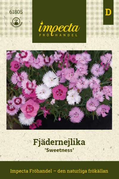 Hovedbilde FJÆRNELLIK SWEETNESS