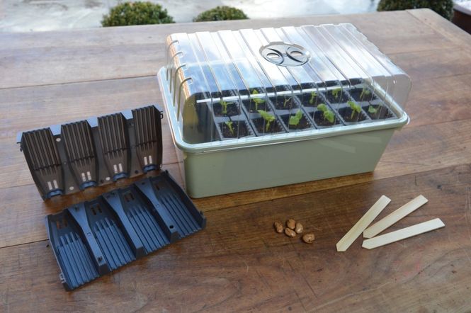 Hovedbilde Rootrainers. 24 celler.