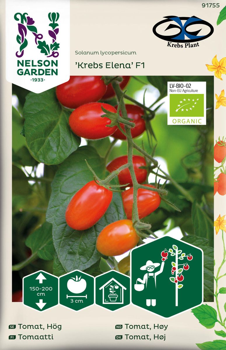 Tomat Cherry. 'Krebs Elena' F1