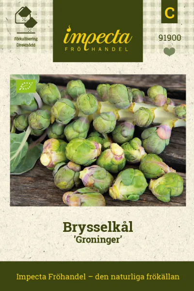 Hovedbilde ROSENKÅL GRONINGER