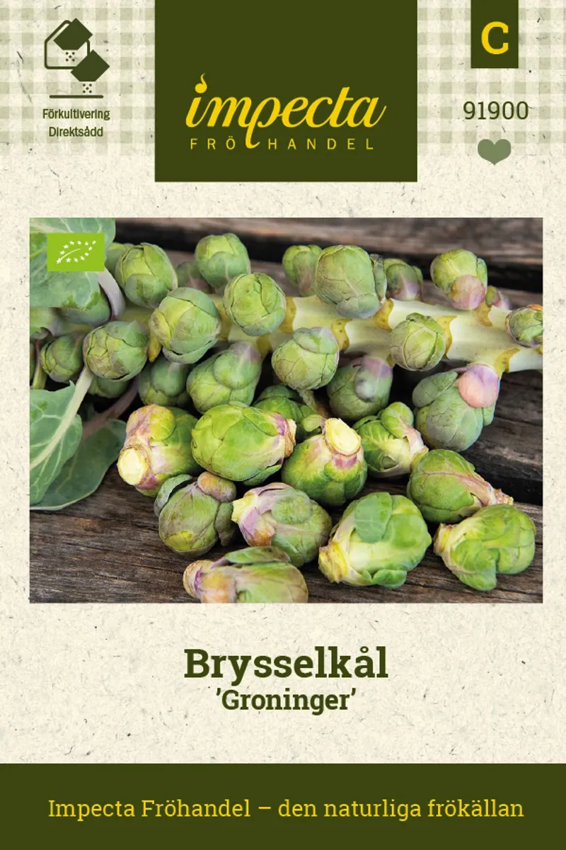 ROSENKÅL GRONINGER